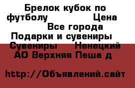 Брелок кубок по футболу Fifa 2018 › Цена ­ 399 - Все города Подарки и сувениры » Сувениры   . Ненецкий АО,Верхняя Пеша д.